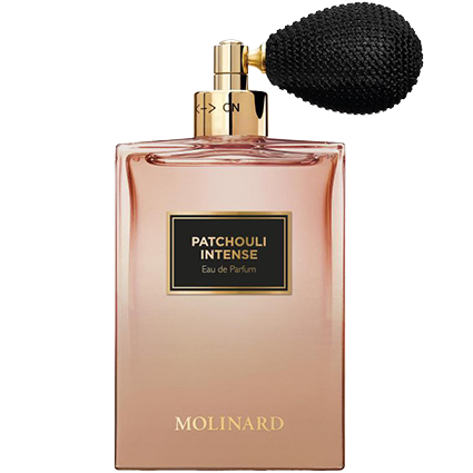 New arrivals of brand MOLINARD