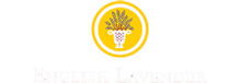ENGLISH LAVENDER
