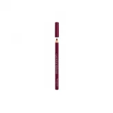 Bourjois Lèvres Contour Edition 09 Plum It Up