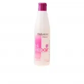Salerm Cosmetics Hi Repair Champú 250ml