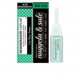 Nuggela & Sulé Regenerador Capilar Ampolla 10ml