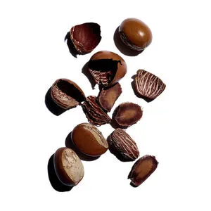 3380810458152_4.webp