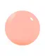 0000030138247_3.webp