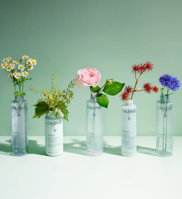 Limpia y Purifica tu piel con VINOCLEAN