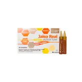 Arkopharma Intelectum Jalea Real Fósforo 20 Ampollas