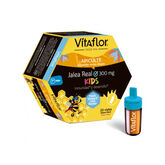 Vitaflor Junior Jalea Real 20 Viales 
