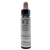 Santiveri Bach Honeysuckle 10ml