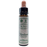 Santiveri Bach Hornbeam 10ml