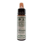 Santiveri Bach Mimulus 10ml