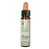 Santiveri Bach Mostaza 10ml