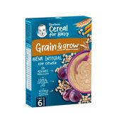 Gerber Papilla Avena y Ciruela 250g