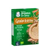 Gerber Papilla Avena Integral y Trigo 250g 