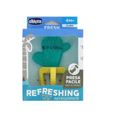 Chicco Mordedor Refreshing Cactus 4M+