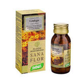 Santiveri Ginkgo Biloba Planta Comprimidos 27g