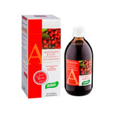 Santiveri Arándano Rojo Concentrado 490ml 