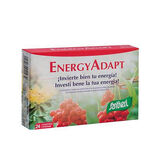 Santiveri EnergyAdapt 24 Comprimidos 