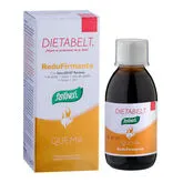 Santiveri Dietabelt Quema Redufirmante Jarabe 240ml