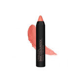 Camaleon Barra Labial Basic nº5 Nude 4g 