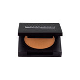 Camaleon Iluminador Crema Bronce 2,5g 
