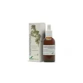 Soria Natural Extracto de Rompepiedras 50ml