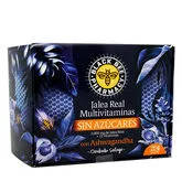 Black Bee Jalea Real Multivitaminas 20 Viales 10ml 