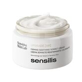 Sensilis Upgrade Crema Sorbete Ar 25ml