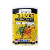 Drasanvi Collmar Cúrcuma Limón 300g