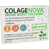 Vaminter Colagenova Vegan Boost 30 Días 180 Cápsulas
