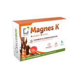 Salud Box Magnes K 30 Chicles  