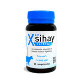 Nutriceuticals Xsihay Lactosa 30 Cápsulas