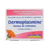 Dermoplasmine Mousse de Caléndula 20g