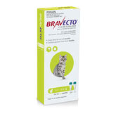 Bravecto Gatos 1.20-2.80Kg 1 Pip MSD
